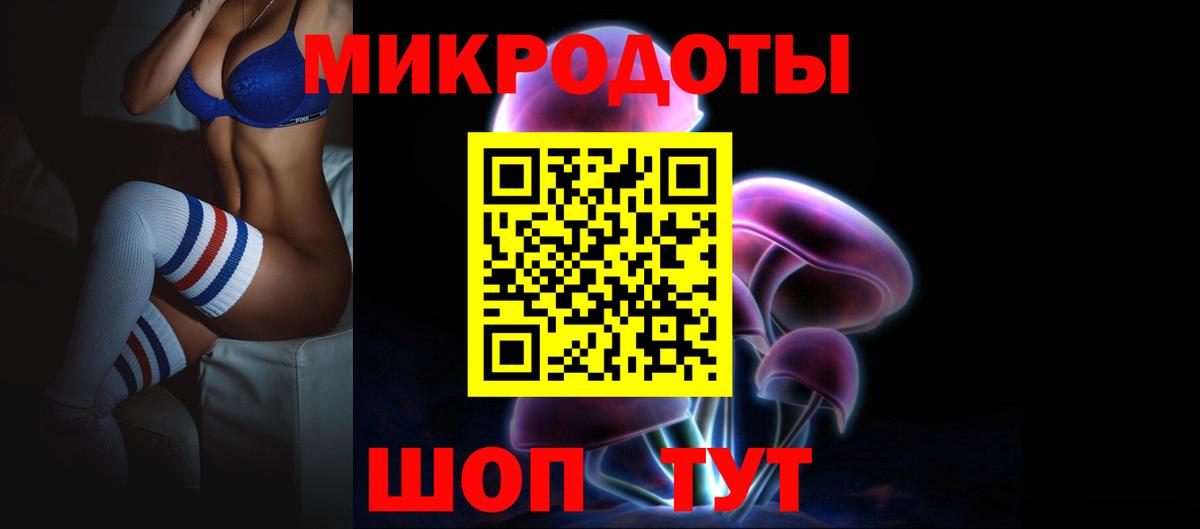 Псилоцибиновые грибы Psilocybe Миллерово